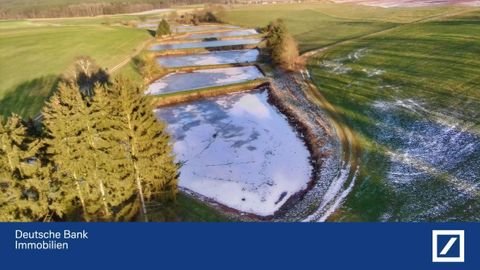 Freudenberg Bauernhöfe, Landwirtschaft, Freudenberg Forstwirtschaft