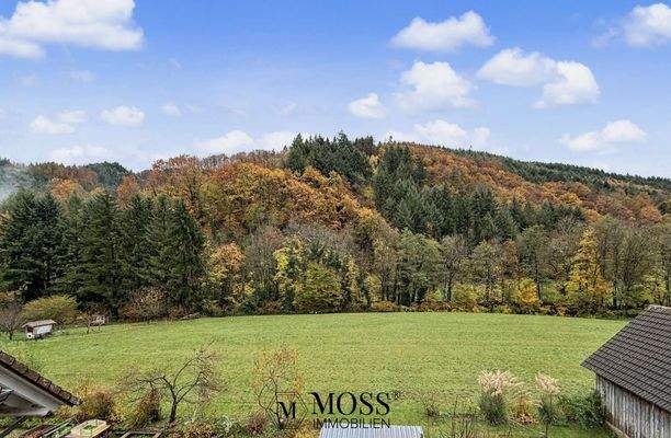 Ausblick aus Schlafzimmer II