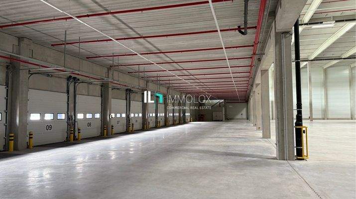 Telefon: 069 50699990