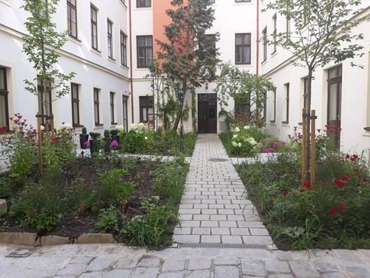 Garten im Juli