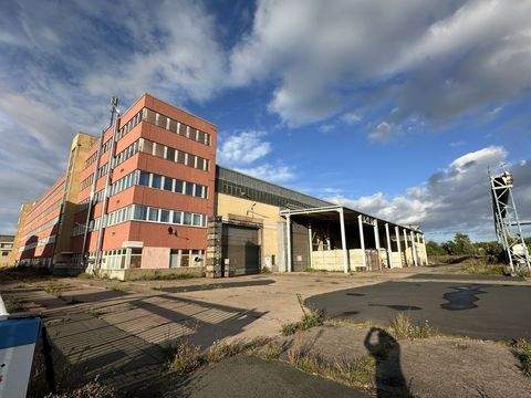 Arnstadt Halle, Arnstadt Hallenfläche