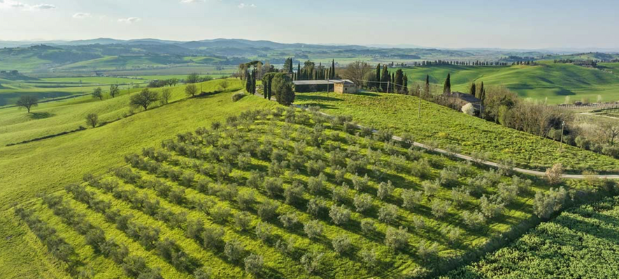 Screenshot 2024-05-21 alle 09.53.15.png