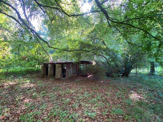 Fasanengehege (3).JPG