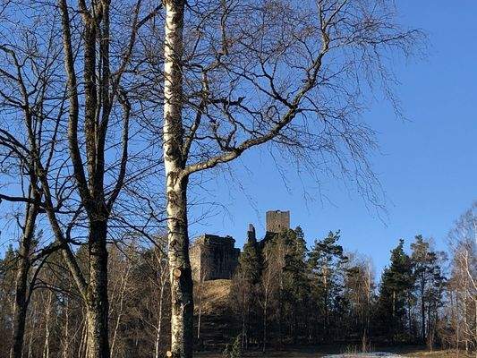 Blick zur Burgruine Flossenbürg
