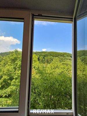 Ausblick von der Küche