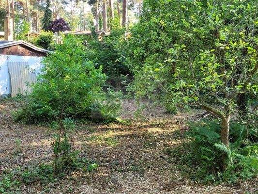 Bebaubares Wochenendgrundstück