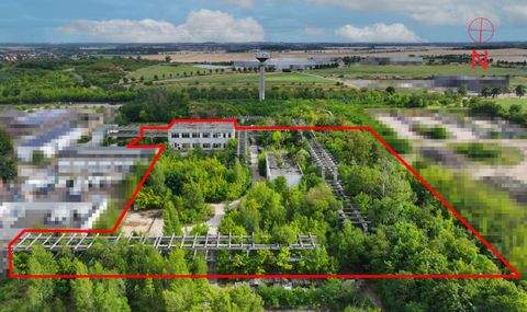 Schönebeck (Elbe) Bauernhöfe, Landwirtschaft, Schönebeck (Elbe) Forstwirtschaft