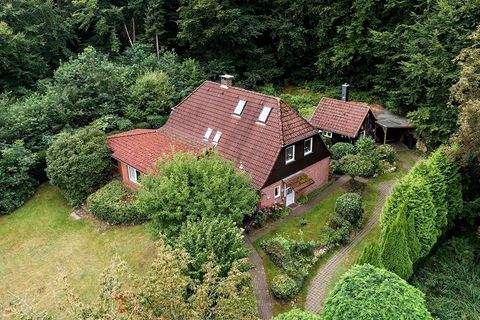 Witzeeze Häuser, Witzeeze Haus kaufen