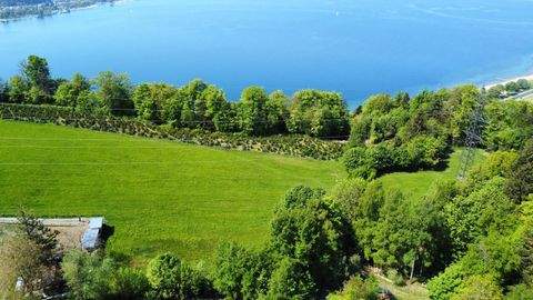 Lochau Grundstücke, Lochau Grundstück kaufen