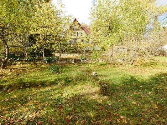  APFELBÄUME - Vielleicht auch Weinbau?!