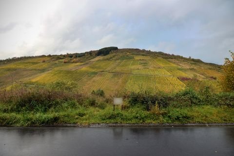 Waldrach Grundstücke, Waldrach Grundstück kaufen