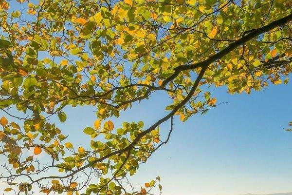 und viel Platz für Ihre Wohnideen