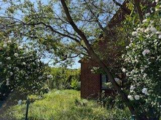 Garten zum Wachküssen