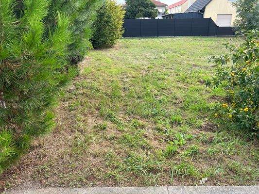 Natürliche Begrenzung durch Bäume und Hecken möglich