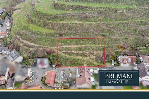 Vogtsburg Grundstücke, Vogtsburg Grundstück kaufen