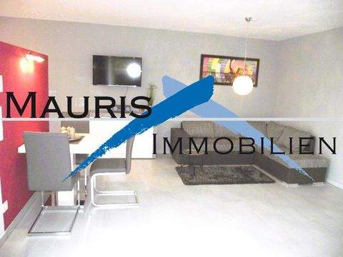 Mannheim Wohnungen, Mannheim Wohnung mieten