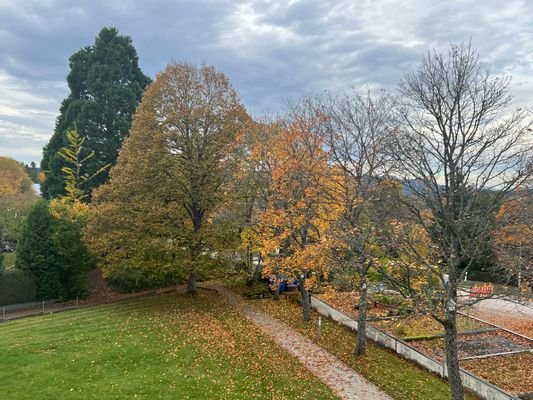 Blick ins Grüne 