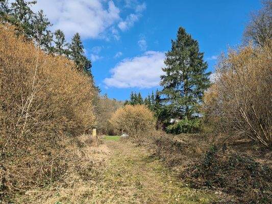 Ansicht Richtung Wiesengrund