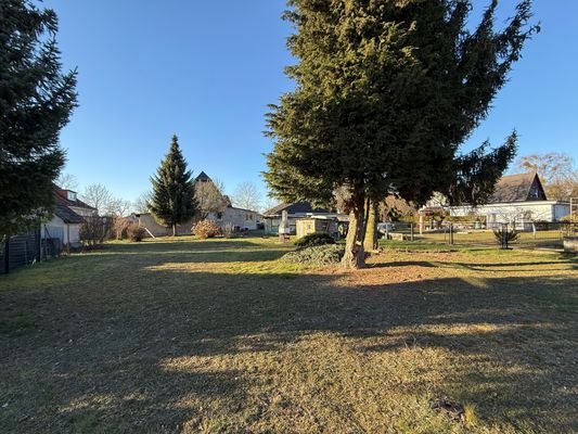 hinterer Garten