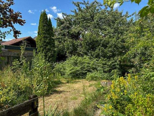 Garten Blickrichtung Haus
