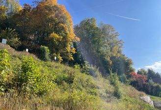 Hanggrundstücke in der Fröhlichgasse. 