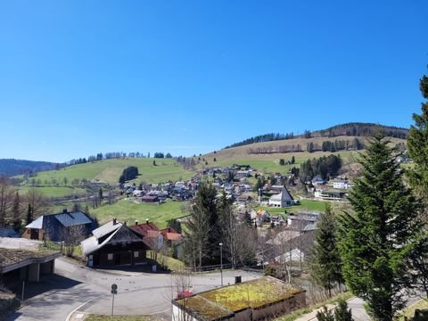 Todtnau Wohnungen, Todtnau Wohnung kaufen