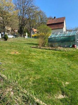 Blick Richtung Kattenbühl