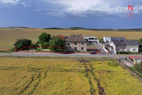 Bördeland Häuser, Bördeland Haus kaufen