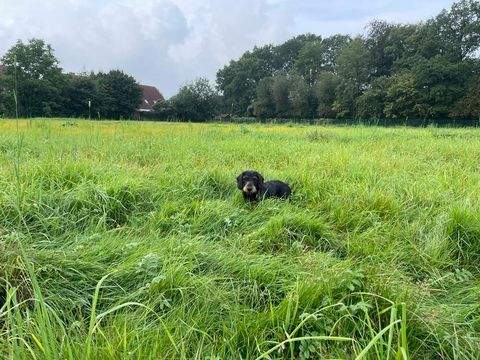 Ellerau Grundstücke, Ellerau Grundstück kaufen