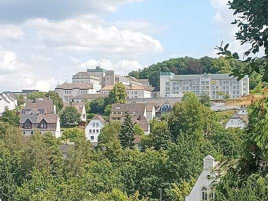 Blick über Meschede