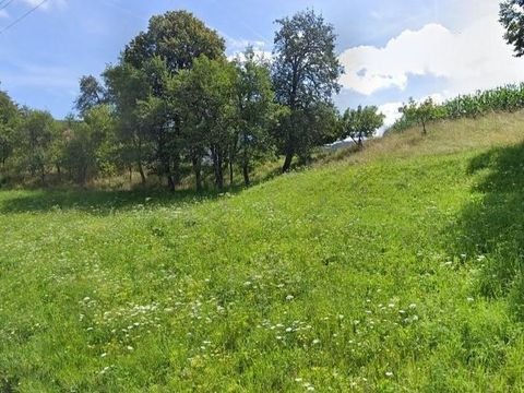 Sittersdorf Grundstücke, Sittersdorf Grundstück kaufen