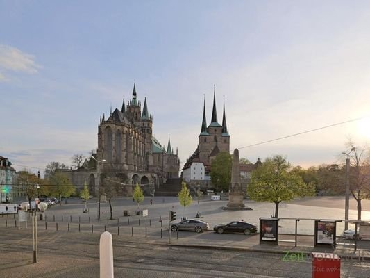 Blick aus dem Fenster