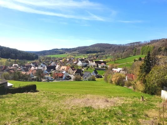 Blick nach Westen.jpg
