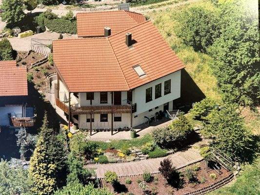 Luftbild aus früheren Jahren 