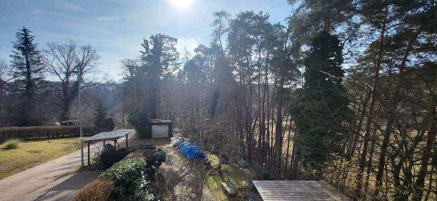 Waldgrundstück zum Haus