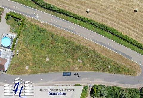 Wertheim Grundstücke, Wertheim Grundstück kaufen