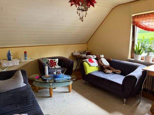 Wohn-/Schlafzimmer DG