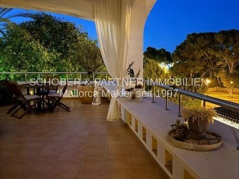 Cala D'Or Wohnungen, Cala D'Or Wohnung kaufen