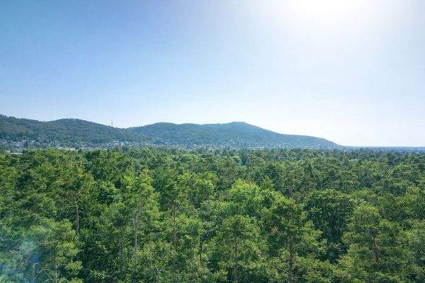 erstaunliche Nähe zum Wald-ideal für Naturliebhaber