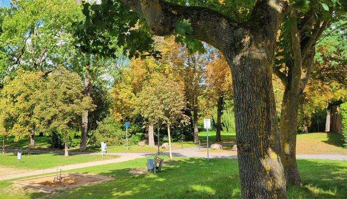 Blick ins Grüne vor der eigene