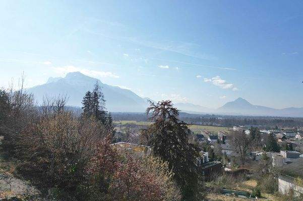 In sonniger Aussichtslage