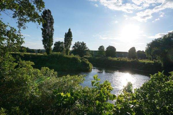 Unstrut-Saale Blütengr..JPG