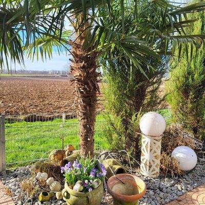 Terrasse (Bild vom Sommer)