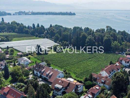 Im Grünen und nahe am Bodensee