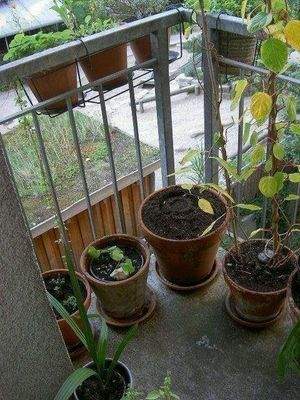 Hamburg St.Pauli 017.JPG