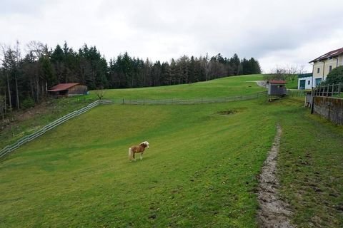 Ried im Innkreis Bauernhöfe, Landwirtschaft, Ried im Innkreis Forstwirtschaft