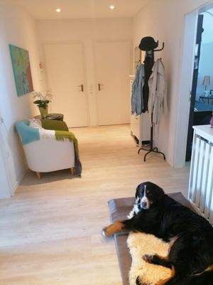 WhatsApp Bild 2025-09-18 um 10.34.30_eb886184.jpg