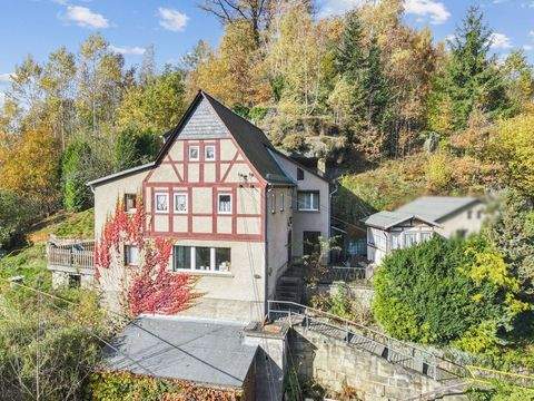 Reinhardtsdorf-Schöna Häuser, Reinhardtsdorf-Schöna Haus kaufen