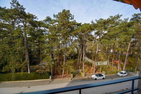 Blick von der Loggia