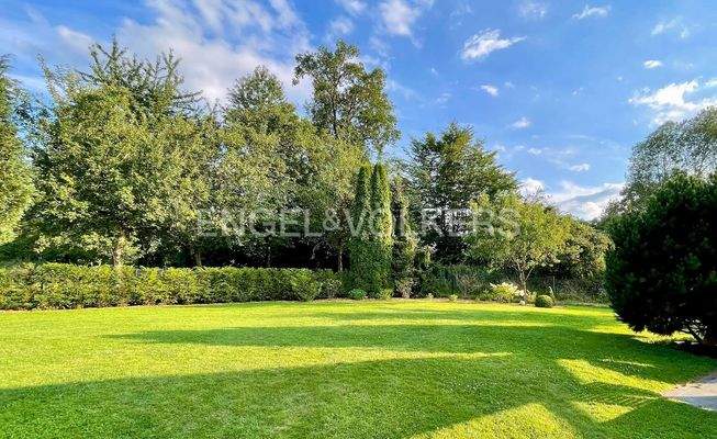 Weitere Ansicht Garten im Sommer